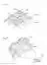 Fig. 07 - METHOD AND APPARATUS FOR TRANSPORT OF SUBSTANCES INTO BODY TISSUE