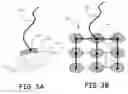Fig. 08 - METHOD AND APPARATUS FOR LIPOSUCTION