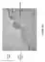 Fig. 24 - Methods and devices for tissue ablation