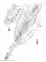 Fig. 05 - Apparatus for applying surgical clips