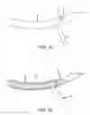 Fig. 28 - Method and apparatus for passing suture through tissue