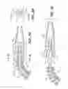 Fig. 08 - BRIDGE CLIP TISSUE CONNECTOR APPARATUS AND METHODS