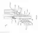 Fig. 15 - Sutureless vascular anastomosis connection