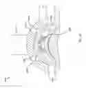 Fig. 27 - Sutureless vascular anastomosis connection