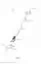 Fig. 33 - Sutureless vascular anastomosis connection