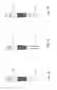 Fig. 09 - BONE FIXATION DEVICE