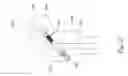 Fig. 33 - BONE FIXATION DEVICE
