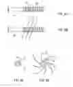 Fig. 06 - Bone implant and systems that controllably releases silver