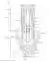 Fig. 01 - SUTURELESS VASCULAR ANASTOMOSIS CONNECTION