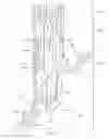 Fig. 07 - SUTURELESS VASCULAR ANASTOMOSIS CONNECTION