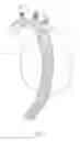 Fig. 08 - THORACIC AORTIC STENT STRUCTURE