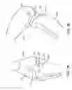 Fig. 04 - Canine ligament bone anchor and method