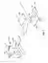 Fig. 22 - Custom orthodontic appliance forming method and apparatus