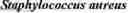 Fig. 29 - Secondary structure defining database and methods for determining identity and geographic origin of an unknown bioagent thereby