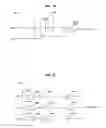 Fig. 11 - Device and method for responding to influences of mind