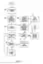 Fig. 03 - Systems and methods for providing an inducement to purchase incident to a physician's prescription of medication