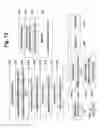 Fig. 13 - LATE BINDING TOKEN IN SYSTEM AND METHOD FOR VERIFYING INTENT IN A CARD NOT PRESENT TRANSACTION