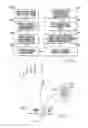 Fig. 37 - Product integrity tracking system, shipping label, and associated method