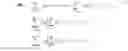 Fig. 06 - Action prediction and identification temporal user behavior