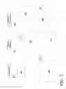 Fig. 08 - Browsing related image search result sets