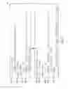 Fig. 03 - Method and system for specifying, preparing and using parameterized database queries
