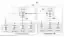 Fig. 01 - Centralized rendering of collaborative content