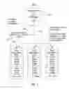 Fig. 02 - Centralized rendering of collaborative content