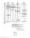 Fig. 04 - Memory block management