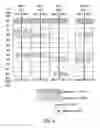 Fig. 07 - Memory block management