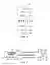 Fig. 07 - SYSTEM AND METHOD FOR INTERACTING WITH AN INTERNET SITE