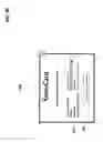 Fig. 18 - Method and system for mobile device based authentication