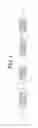 Fig. 02 - DNA FRAGMENT AND PHARMACEUTICAL COMPOSITION