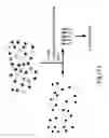 Fig. 37 - COMPOSITIONS AND METHODS FOR GENE EXPRESSION AND CHROMATIN PROFILING OF INDIVIDUAL CELL TYPES WITHIN A TISSUE
