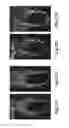 Fig. 40 - COMPOSITIONS AND METHODS FOR GENE EXPRESSION AND CHROMATIN PROFILING OF INDIVIDUAL CELL TYPES WITHIN A TISSUE