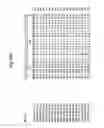 Fig. 16 - PLANTS WITH ALTERED ROOT ARCHITECTURE, RELATED CONSTRUCTS AND METHODS INVOLVING GENES ENCODING NUCLEOSIDE DIPHOSPHATASE KINASE (NDK) POLYPEPTIDES AND HOMOLOGS THEREOF