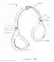 Fig. 47 - Ear warmer having a curved ear portion