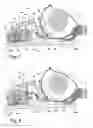 Fig. 07 - Vacuum cleaner with agitator height control mechanism
