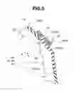 Fig. 06 - Glass run