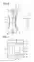 Fig. 05 - Slide fastener