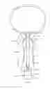 Fig. 12 - Adjustable hair dryer