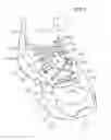 Fig. 02 - Shoe having lace fitting structure