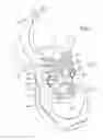 Fig. 03 - Shoe having lace fitting structure