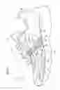 Fig. 05 - Shoe having lace fitting structure