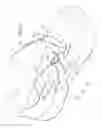 Fig. 11 - Shoe having lace fitting structure