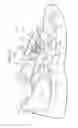 Fig. 14 - Shoe having lace fitting structure