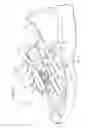 Fig. 15 - Shoe having lace fitting structure