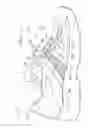 Fig. 19 - Shoe having lace fitting structure