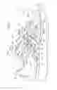 Fig. 31 - Shoe having lace fitting structure