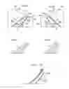 Fig. 40 - Shoe having lace fitting structure