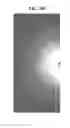 Fig. 06 - Fuel additive containing lattice engineered cerium dioxide nanoparticles